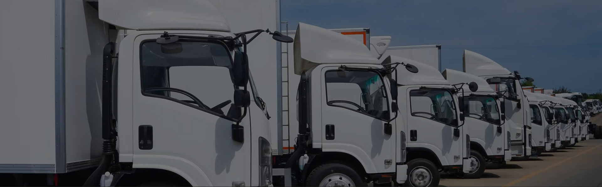 A row of white commercial box trucks