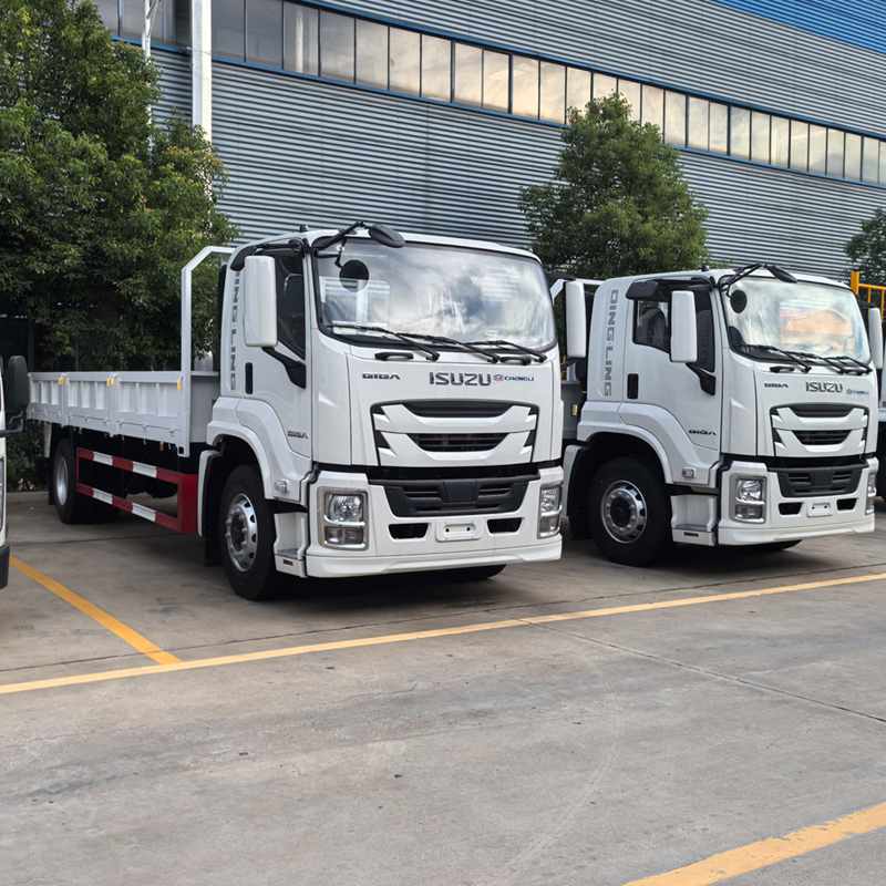 Biggest Dump Trucks on Construction Sites – A Visual Guide
