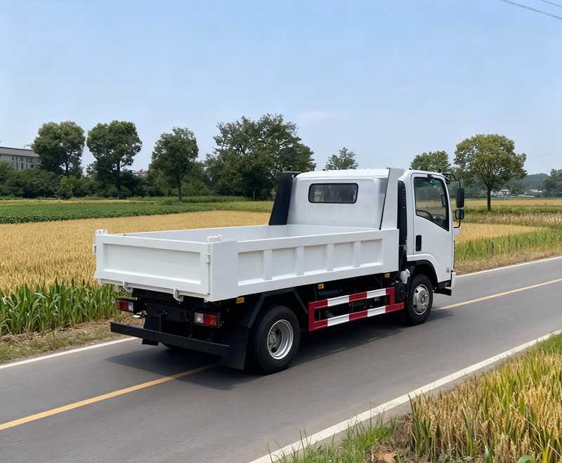 heavy duty dump truck for sale