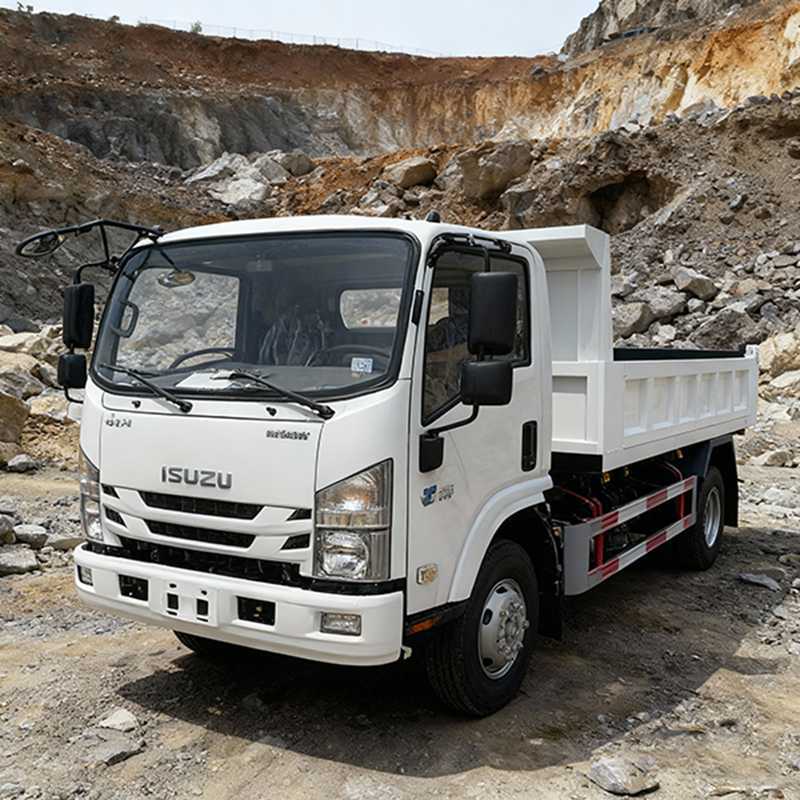 Used Dump Trucks for Sale
