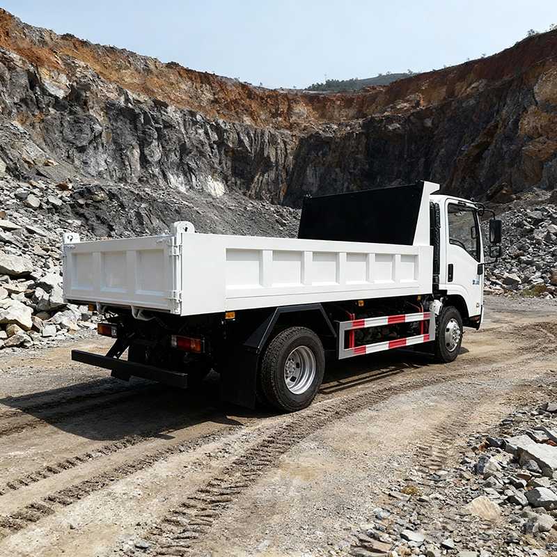 ISUZU Big Dump Trucks