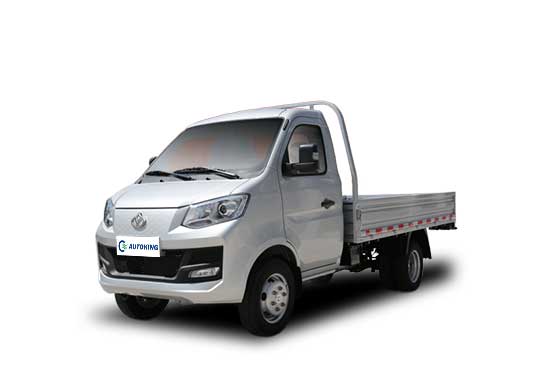 Micro Truck